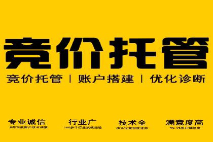 深入解析SEM竞价托管的成功案例